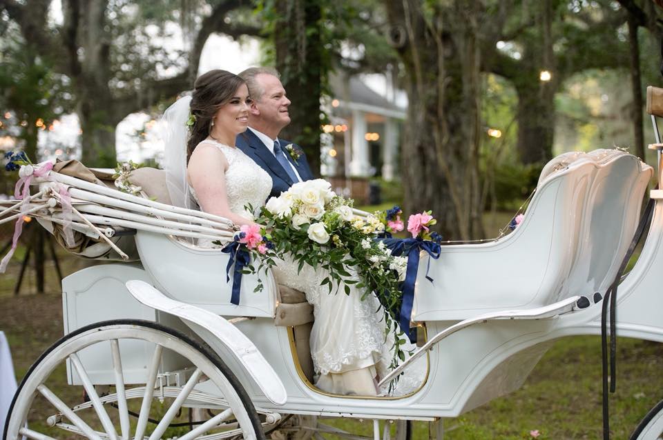 Couple in a carriage at a wedding